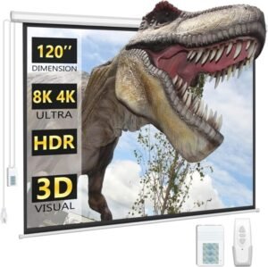 Auto Electric Projector Screen 243 x 243 cm