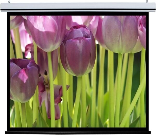 Manual Projector Screen 240 x 240 cm