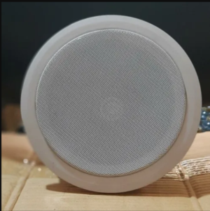Ceiling Speakers in Kenya – 4", 6", and 8" -
