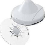 Cross Point Ostra & Shell D40